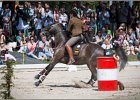 Pferd International 113